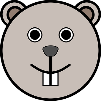 Cartoon Bear Face Graphic PNG