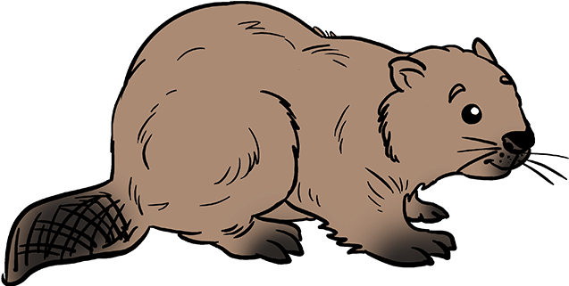 Cartoon Beaver Illustration PNG