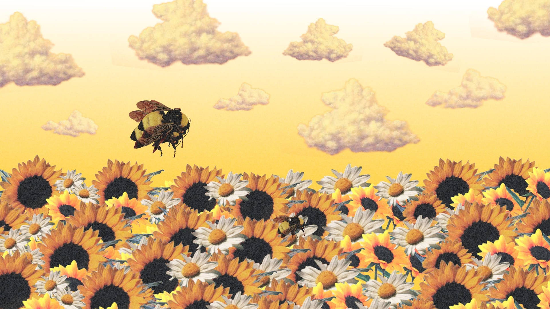 Cartoon Bee Over A Field Of Sunflowers Wallpaper