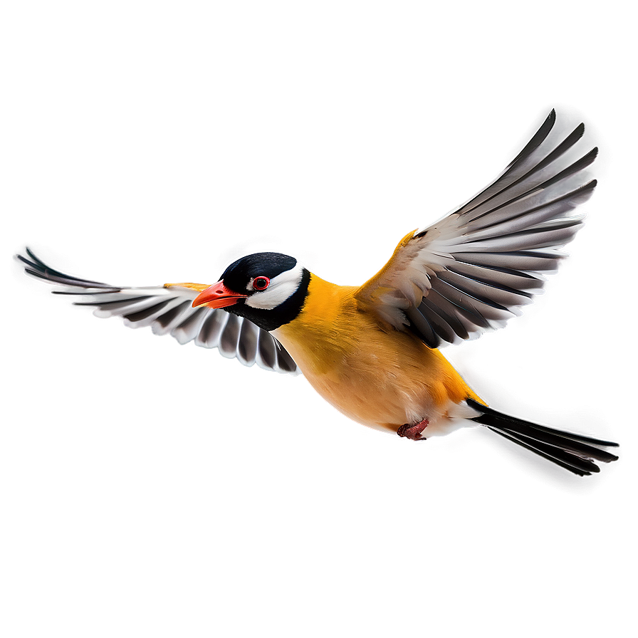 Cartoon Bird Flying Png 37 PNG