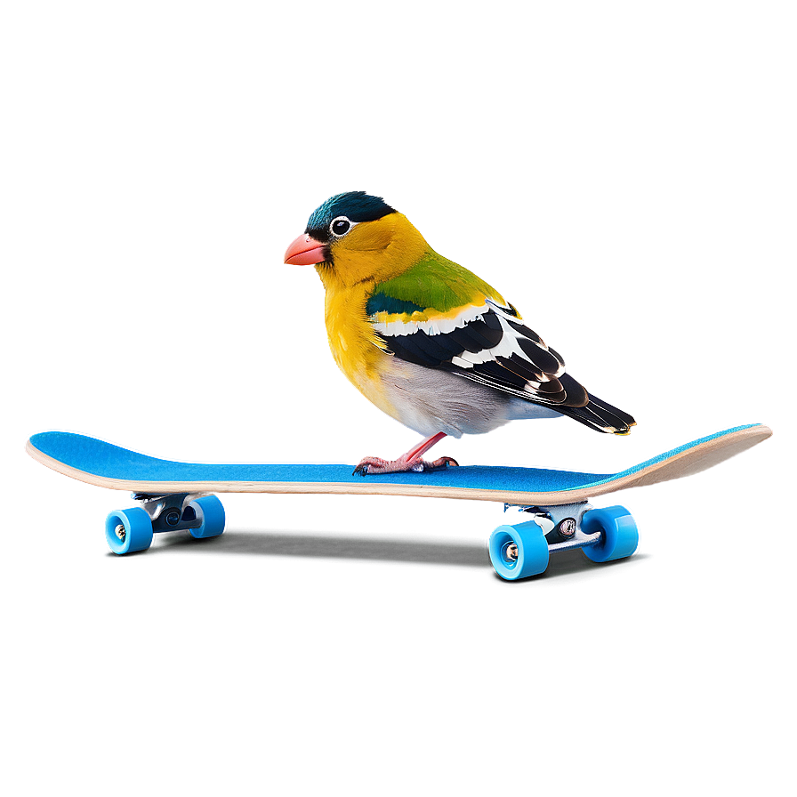 Cartoon Bird On Skateboard Png 94 PNG