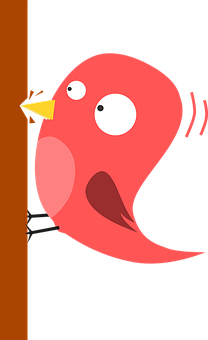 Cartoon Bird Peeking PNG