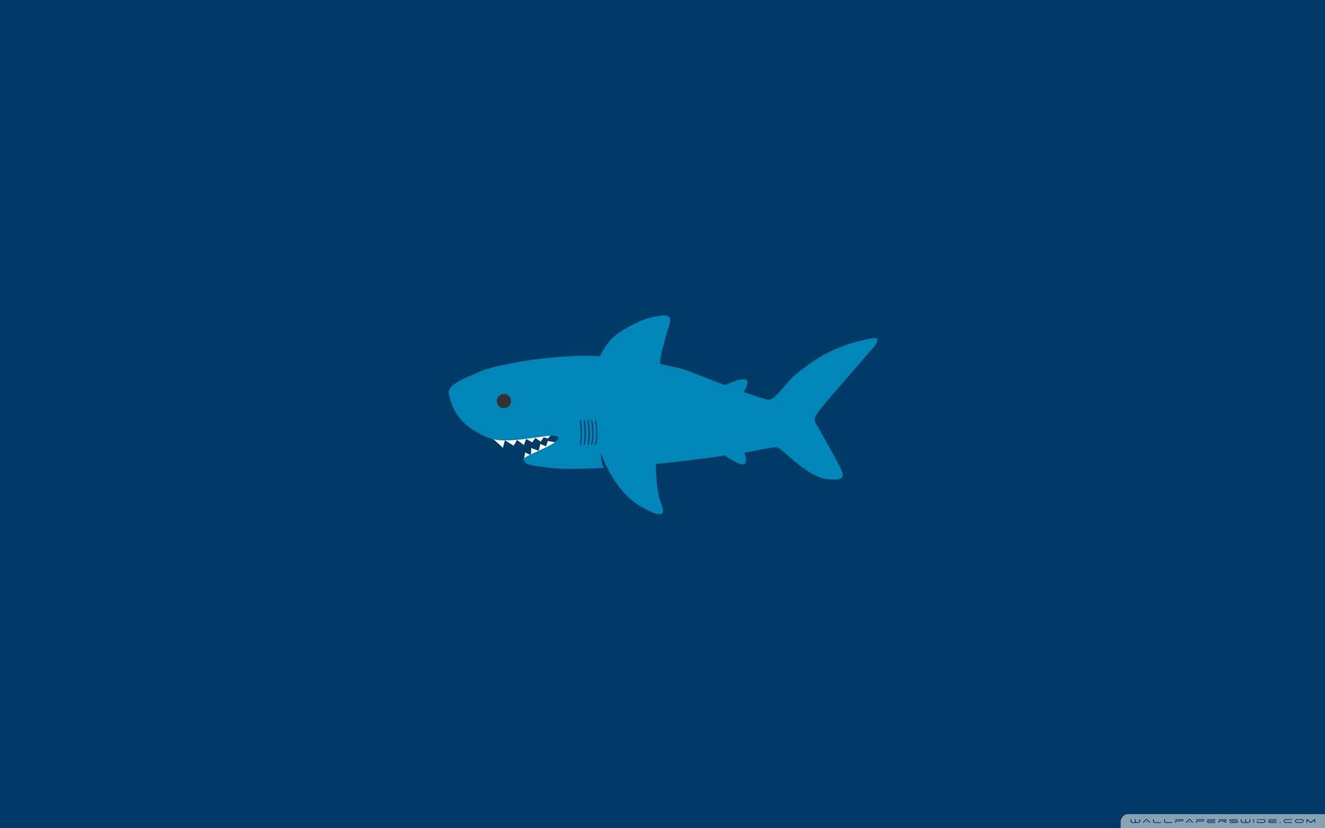 Cartoon Blue Shark