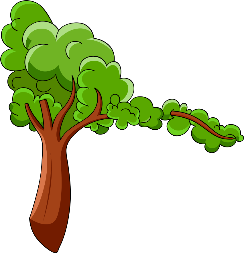 Cartoon Broccoli Graphic PNG