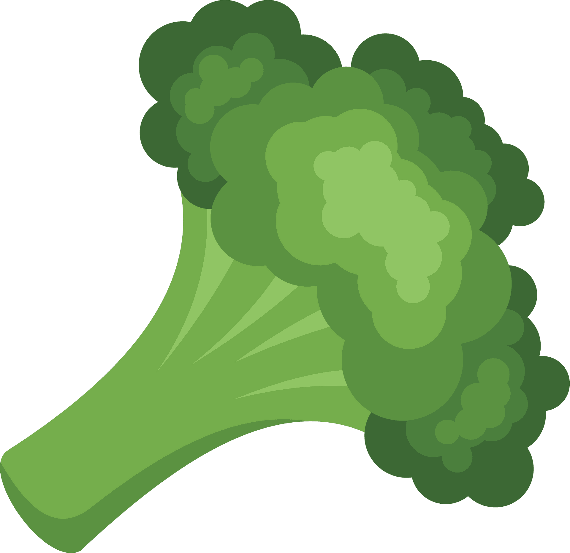 Cartoon Broccoli Graphic PNG