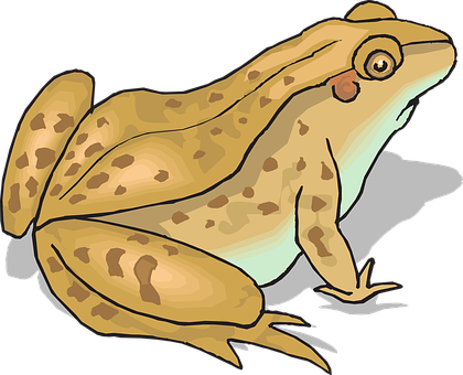 Cartoon Brown Frog Illustration PNG