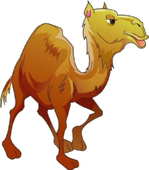 Cartoon Camel Illustration PNG