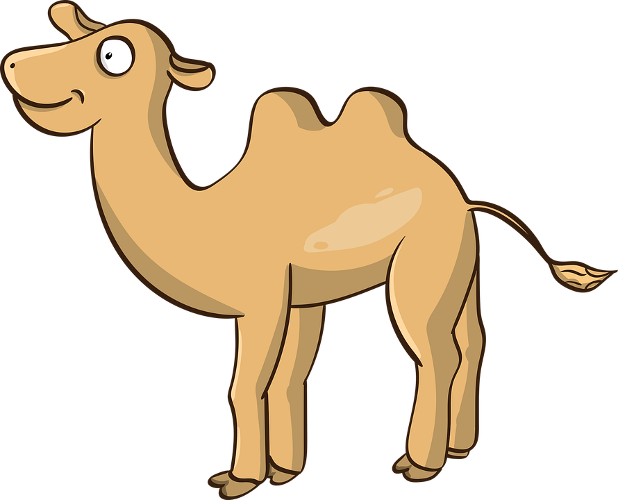 Cartoon Camel Illustration PNG