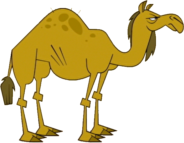 Cartoon Camel Illustration PNG