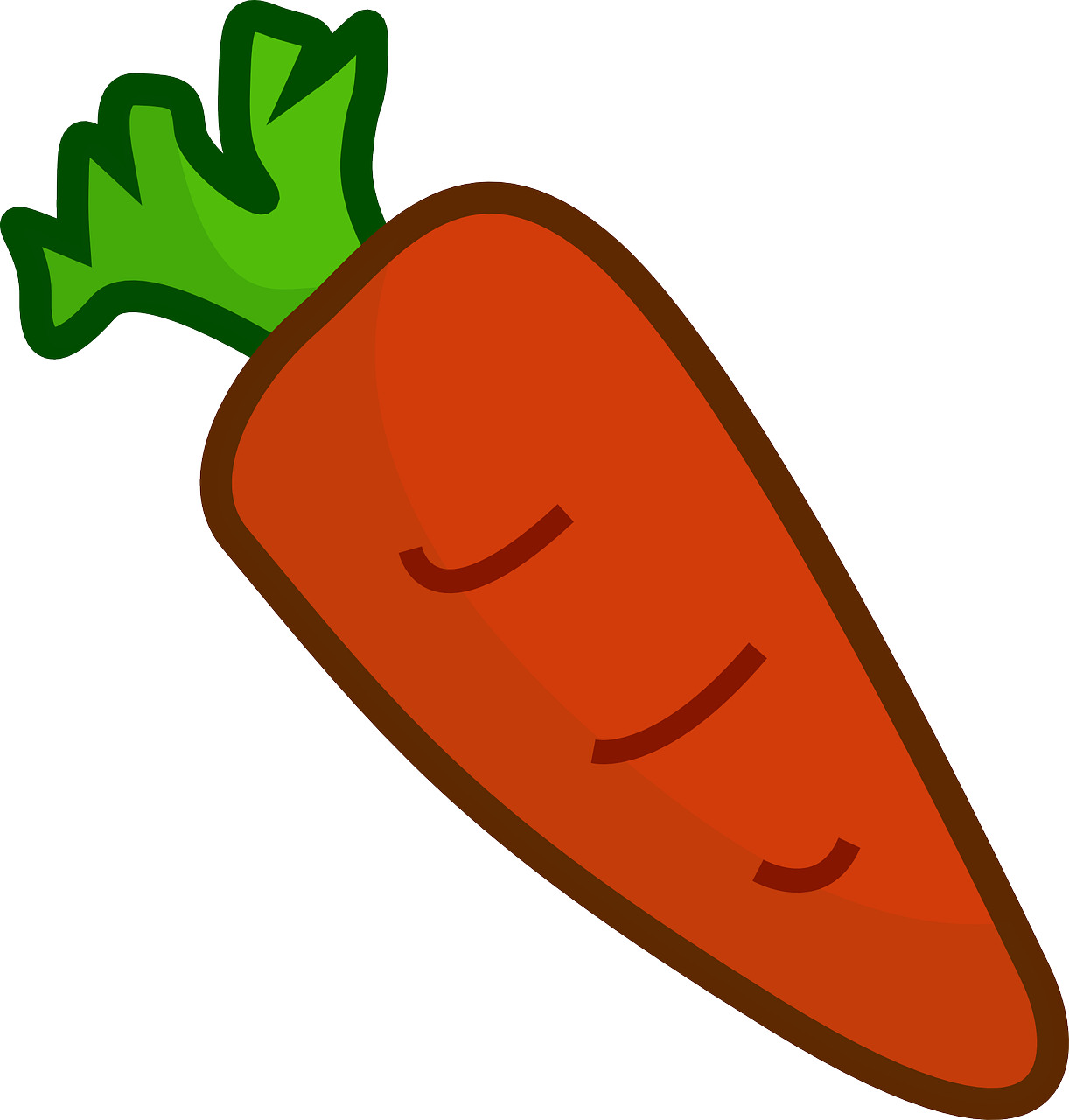 Cartoon Carrot Graphic PNG