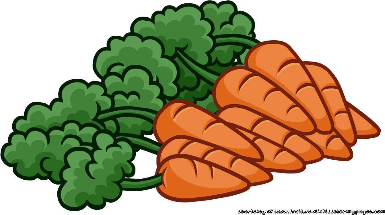 Cartoon Carrots Bunch Illustration PNG