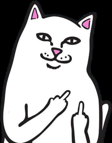 Cartoon Cat Giving Middle Finger PNG