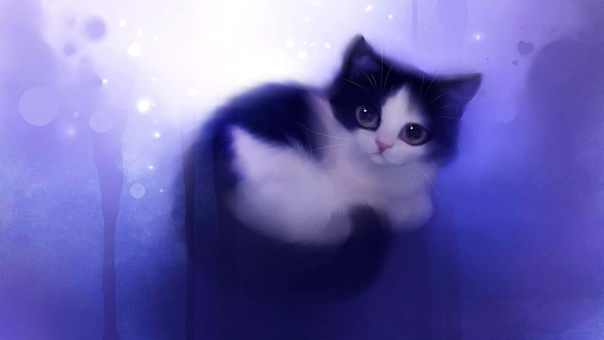 A Black And White Cat Sitting On A Purple Background