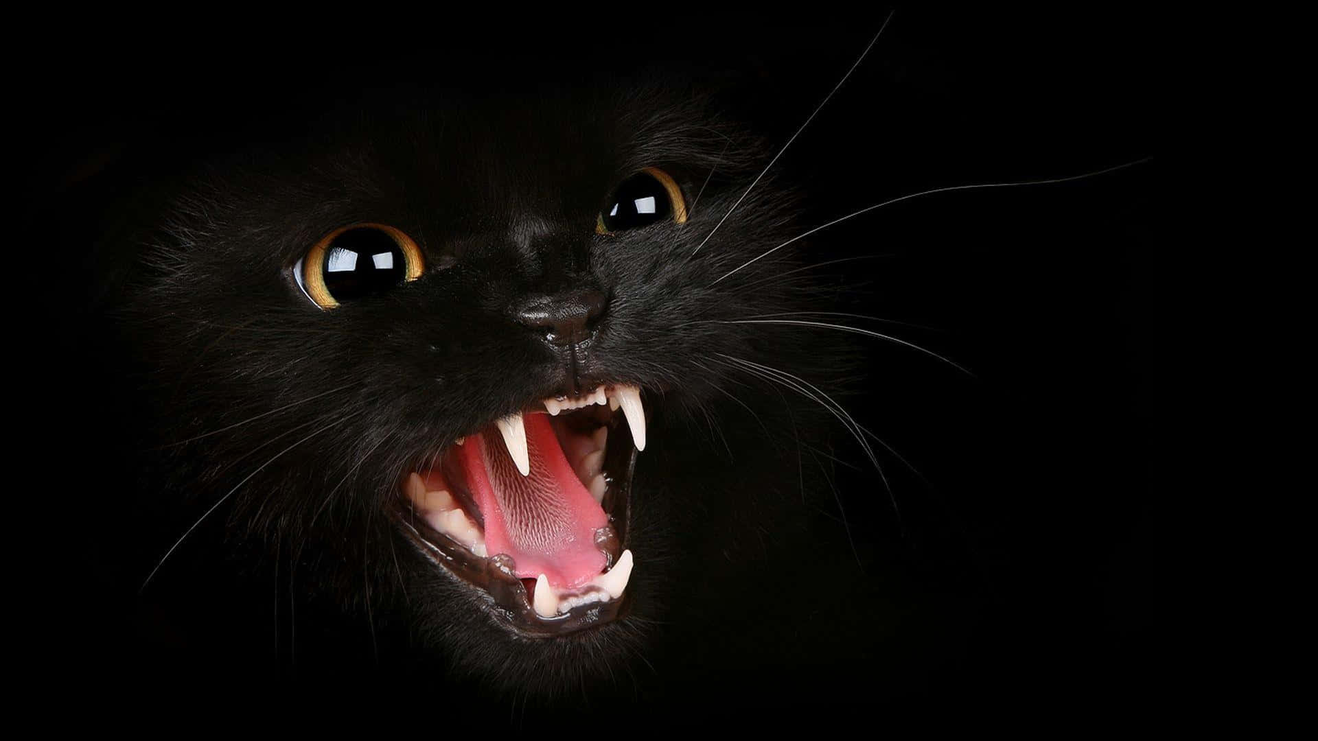 A Black Cat With Its Mouth Open On A Black Background Wallpaper