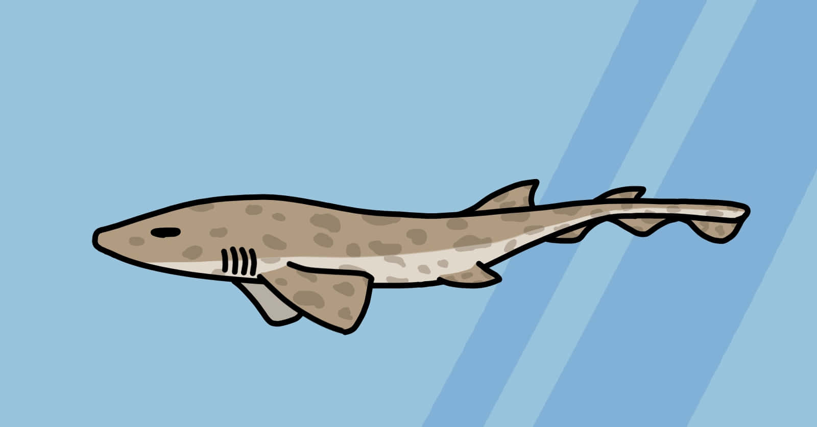 Cartoon Cat Shark Illustration Wallpaper