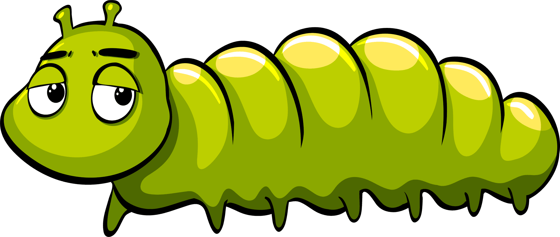 Cartoon Caterpillar Character PNG