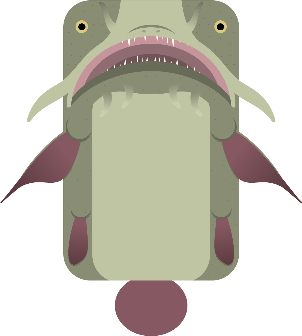 Cartoon Catfish Graphic PNG