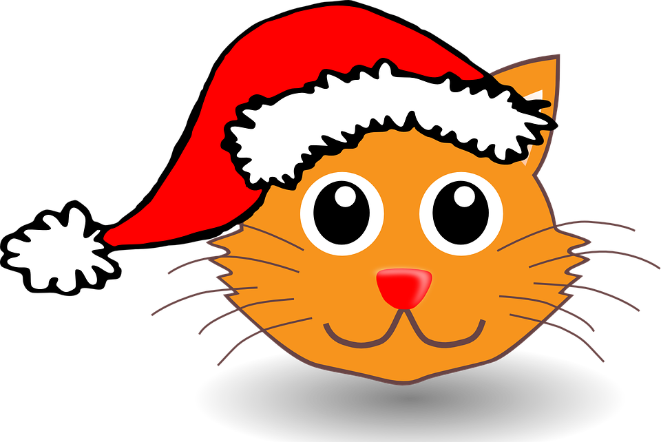 Cartoon Catin Santa Hat PNG