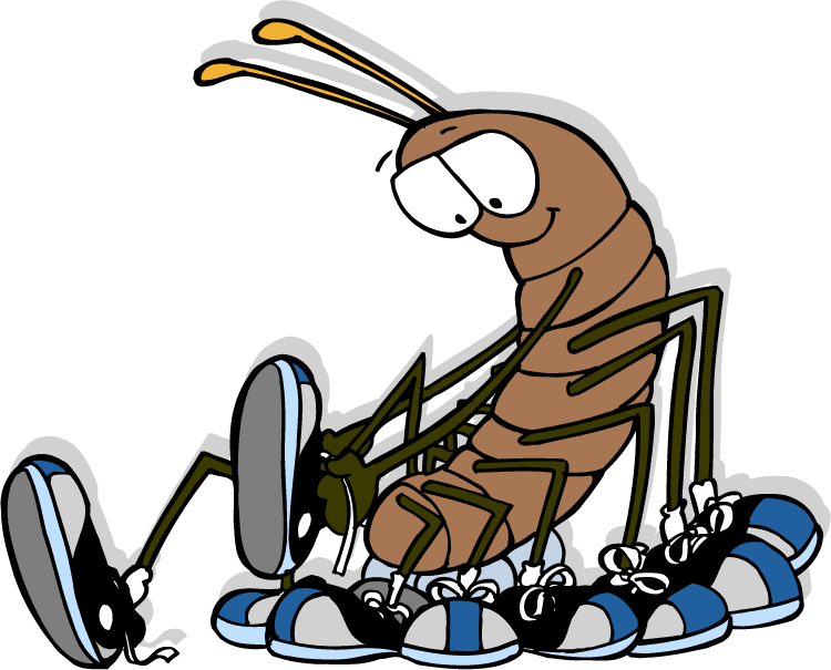 Cartoon Centipede With Shoes PNG