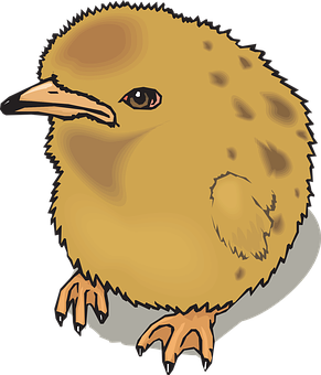 Cartoon Chick Illustration PNG