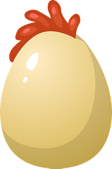 Cartoon Chicken Egg PNG