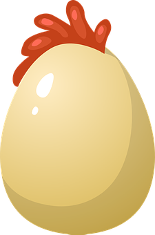 Cartoon Chicken Egg Illustration PNG