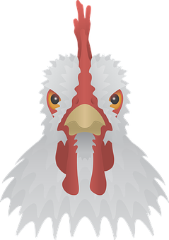 Cartoon Chicken Head Graphic PNG