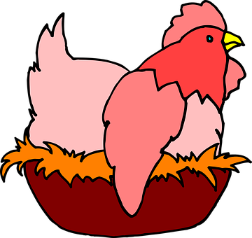 Cartoon Chicken Illustration PNG