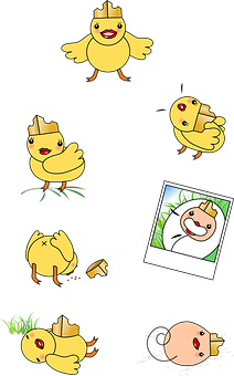 Cartoon Chicks Various Emotionsand Actions PNG