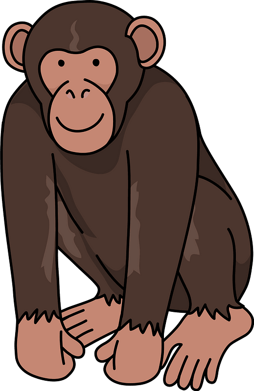 Cartoon Chimpanzee Sitting PNG