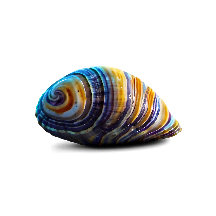 Cartoon Clam Png Rsp52 PNG