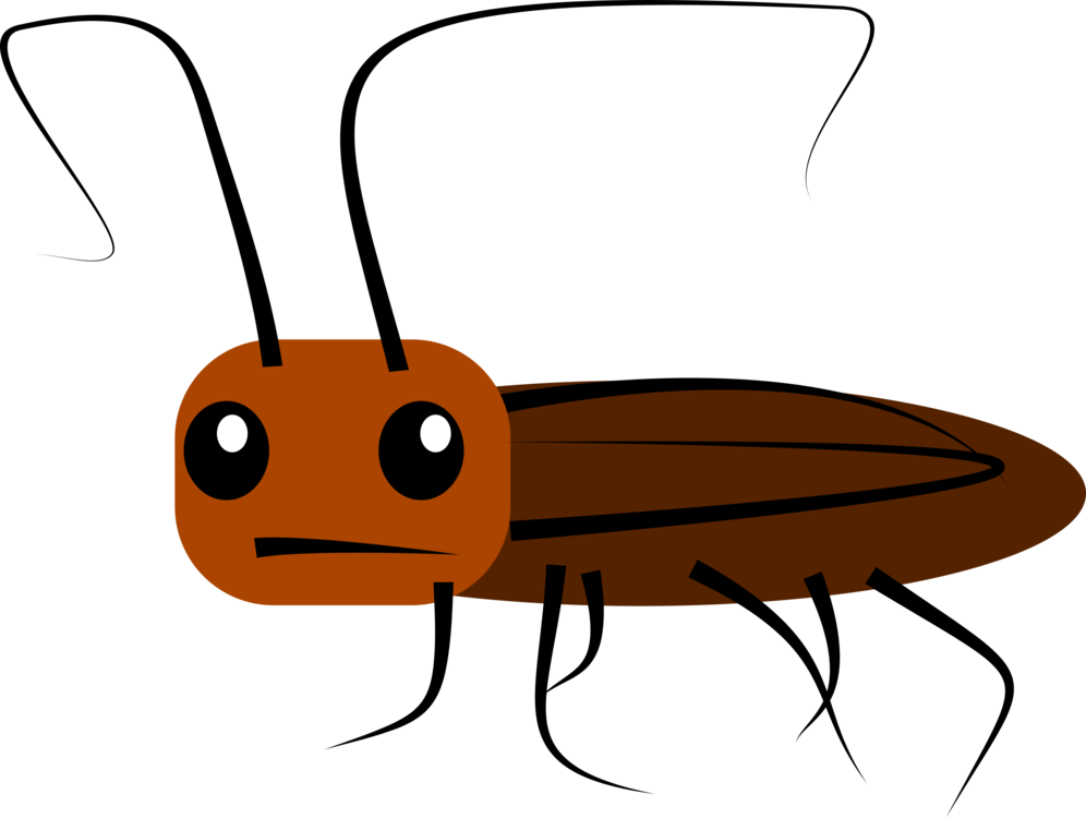 Cartoon Cockroach Illustration PNG