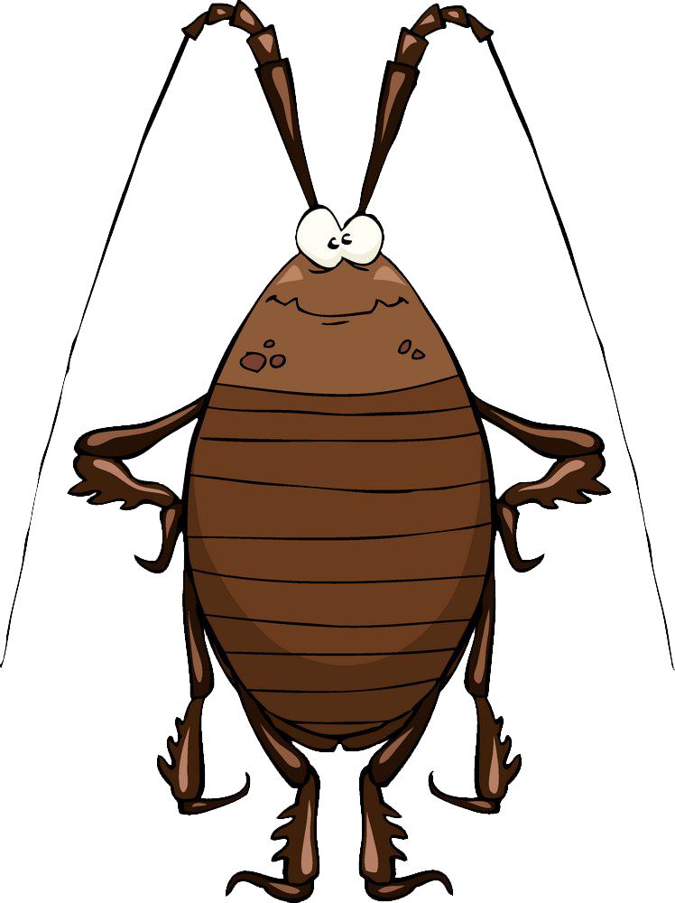 Cartoon Cockroach Standing PNG