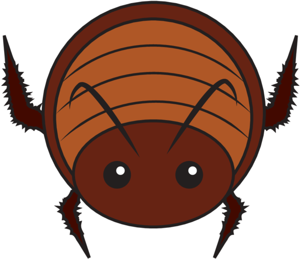 Cartoon Cockroach Top View PNG