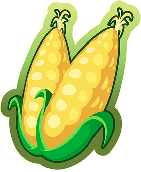 Cartoon Corn Ears Sticker PNG