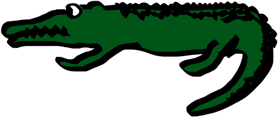 Cartoon Crocodile Illustration PNG
