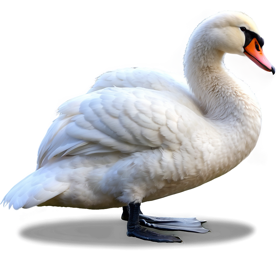 Download Cartoon Cute Swan Png Yqj | Wallpapers.com