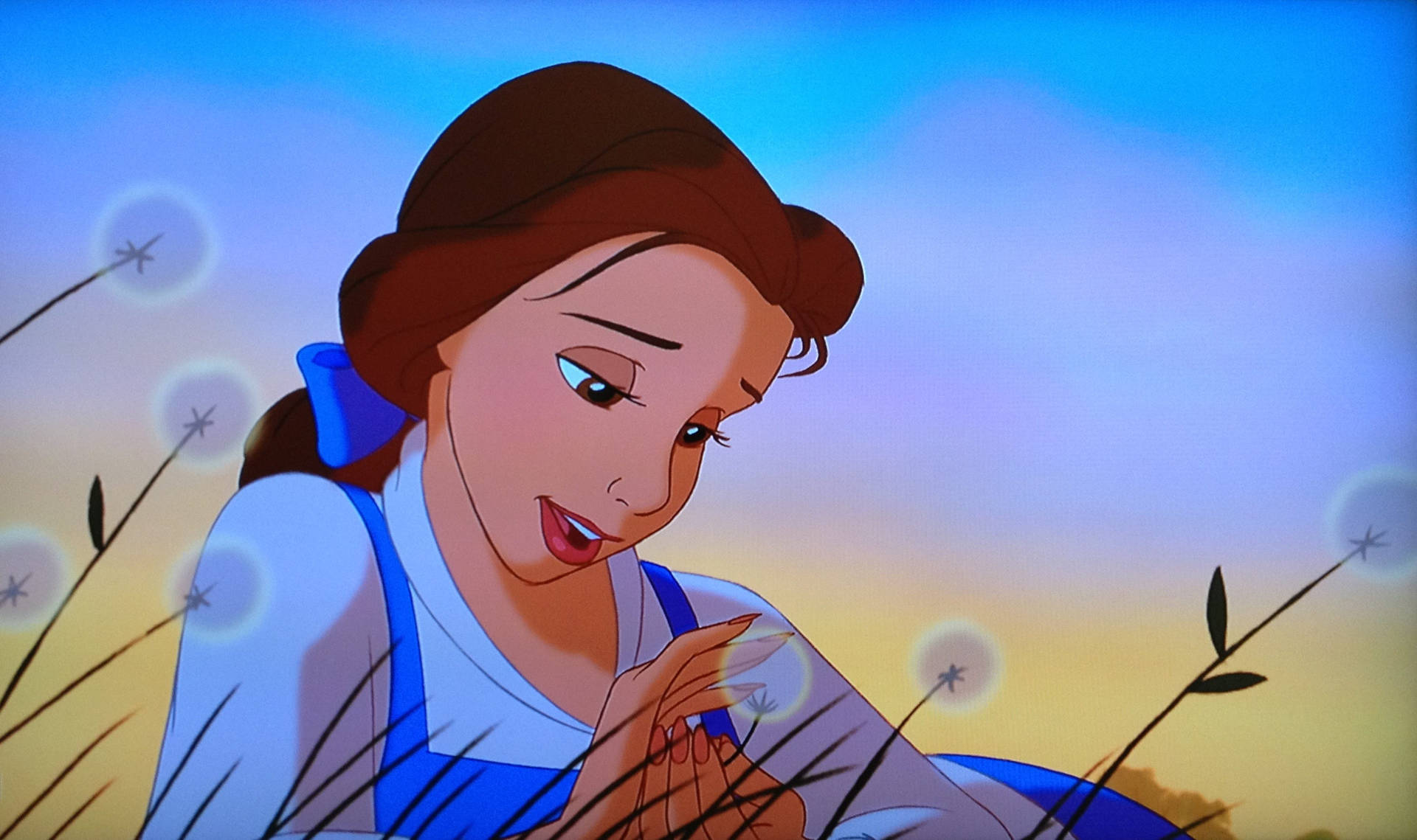 Cartoon Disney Princess Belle Wallpaper