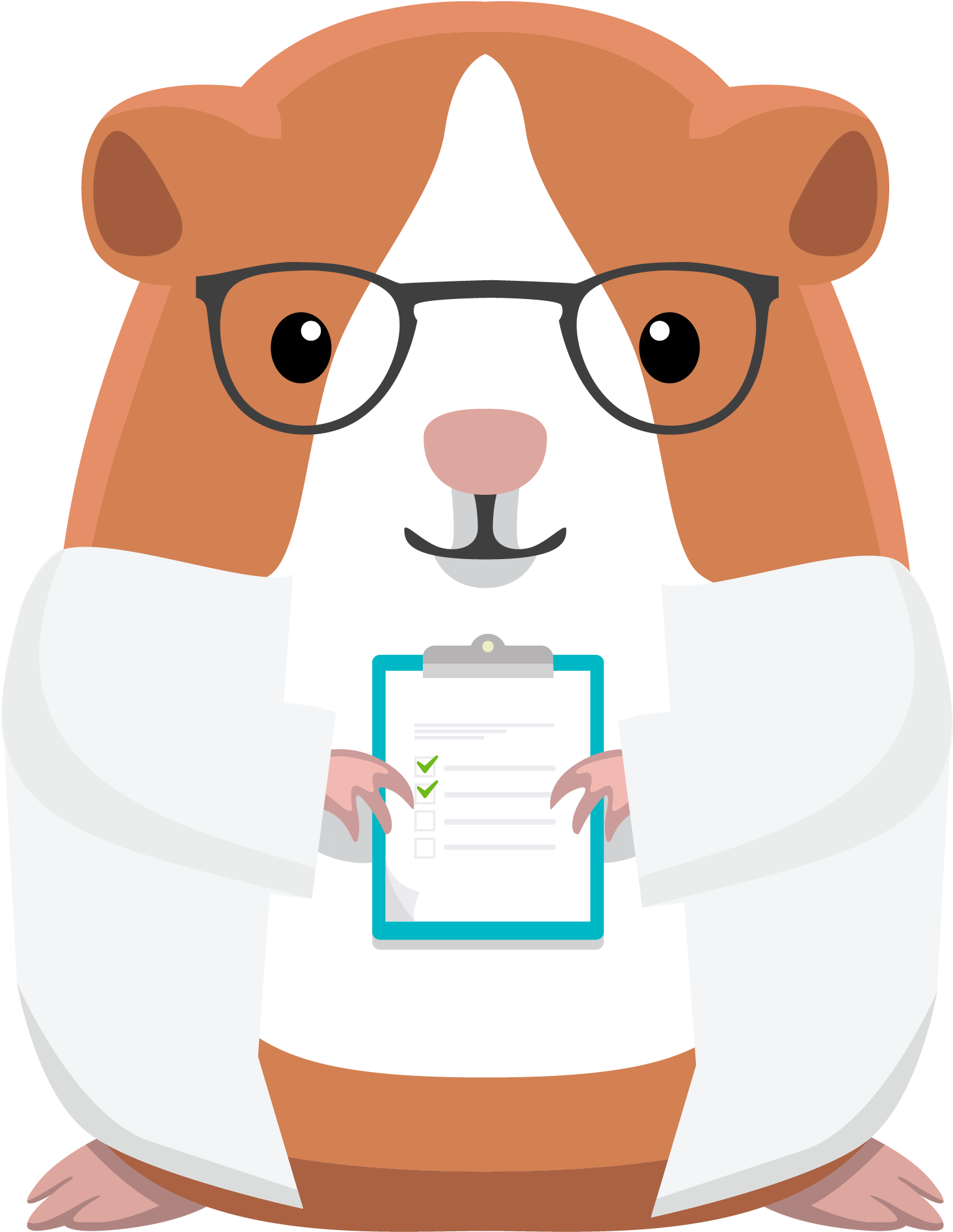 Cartoon Doctor Guinea Pig PNG