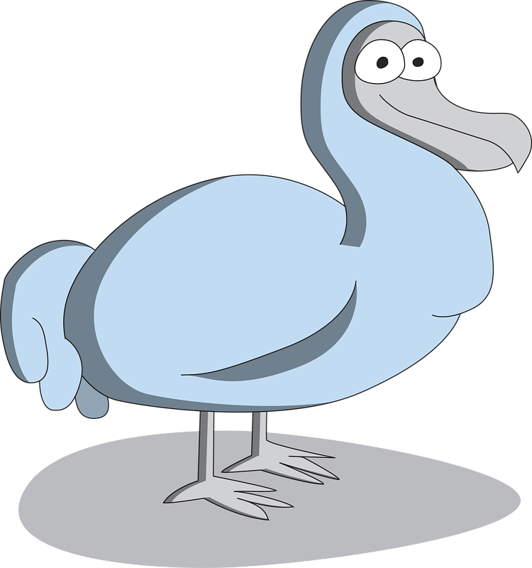 Cartoon Dodo Bird Illustration PNG
