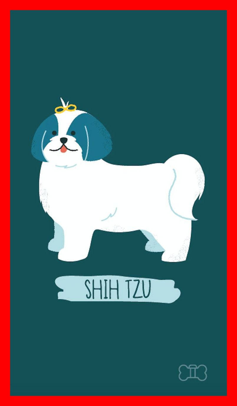 Cartoon Dog Shih Tzu Wallpaper