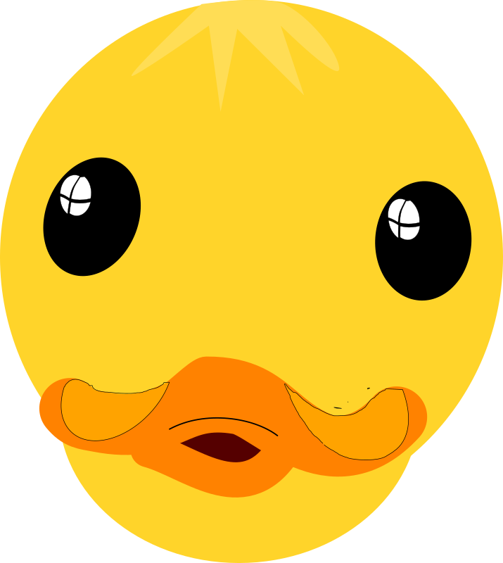 Download Cartoon Duck Face Graphic | Wallpapers.com