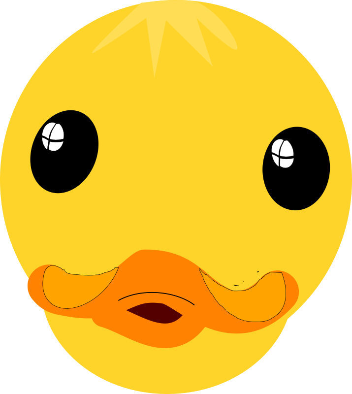 Cartoon Duck Face Graphic PNG