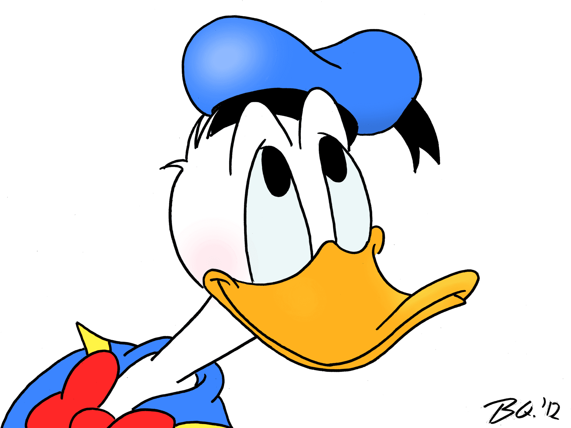 Cartoon Duck Portrait PNG