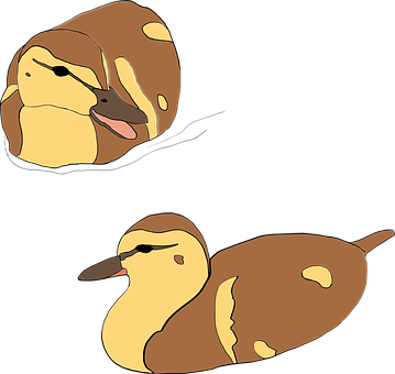 Cartoon Ducks Resting PNG