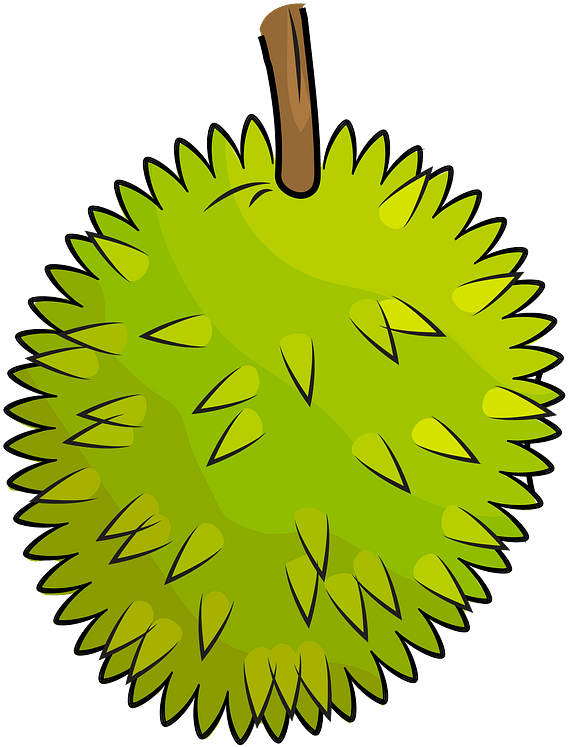 Cartoon Durian Fruit Illustration PNG