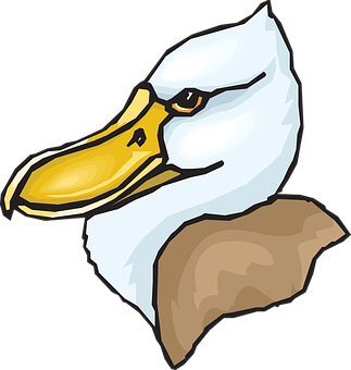 Cartoon_ Eagle_ Head_ Vector PNG