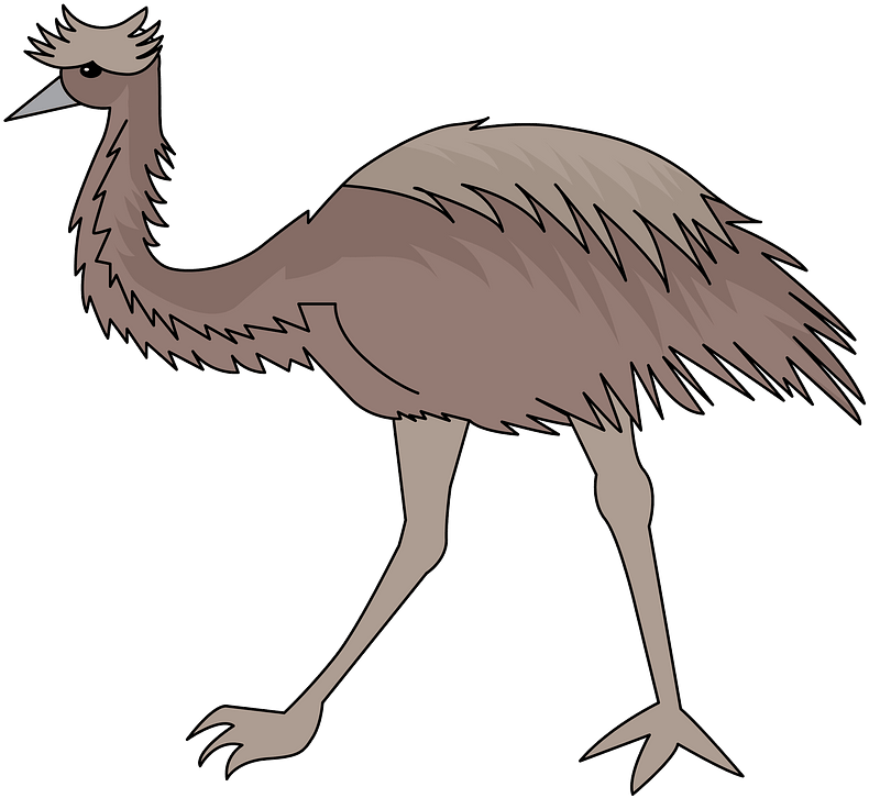 Cartoon Emu Illustration PNG