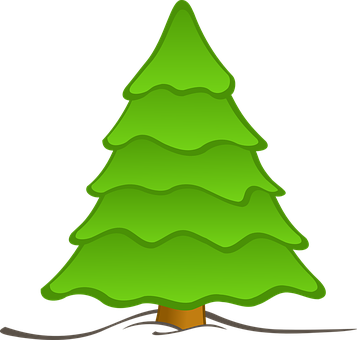 Cartoon Evergreen Tree Graphic PNG