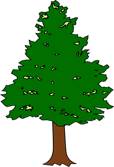 Cartoon Evergreen Tree PNG